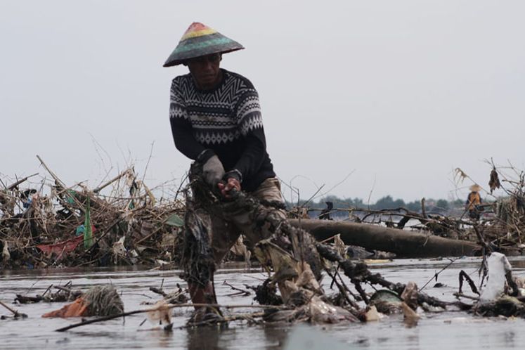 TARIK: Saha, seorang nelayan Besuki yang terus berusaha menarik dahan pohon yang menumpuk dan mengotori Pantai Bong pesisir Besuki, Kabupaten Situbondo, Jumat 17 Desember 2021. Foto: Hozaini