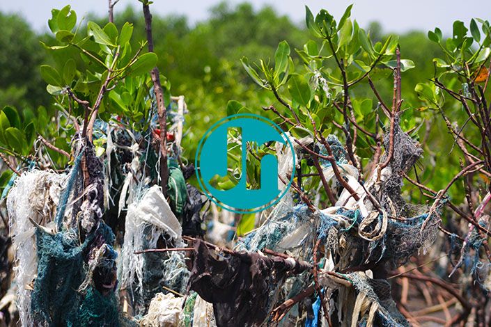 AKAR POHON MANGROVE:  Akar pohon mangrove terjerat sampah tepi pantai  dubibir Desa Ketah, Kecamatan Suboh, Kabupaten Situbondo, Senin 27 Desember 2021. Foto: Hozaini