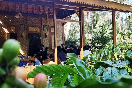 Geliat Petani Kopi Telemung Menaikkan Nilai Jual Kopinya 