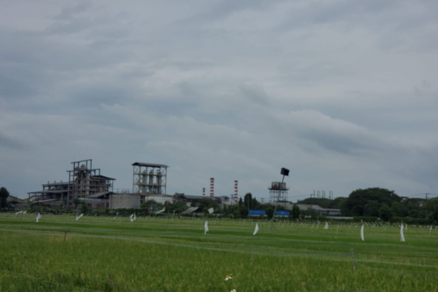 Warga Mojokerto Keluhkan Bau Menyengat dari Pabrik Bioetanol PT Enero, Ini Tanggapan PT Enero