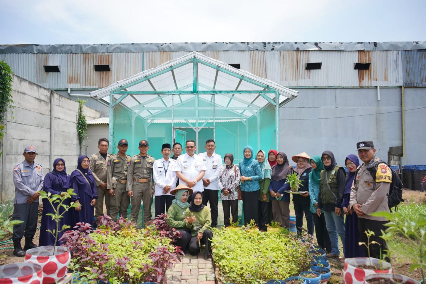 Panen Kangkung, Wali Kota Probolinggo Dorong Ketahanan Pangan dan Pengembangan Wisata Lokal