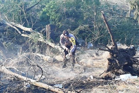 Penanganan Karhutla Ganti Fokus ke Ijen dan Merapi Ungup-ungup