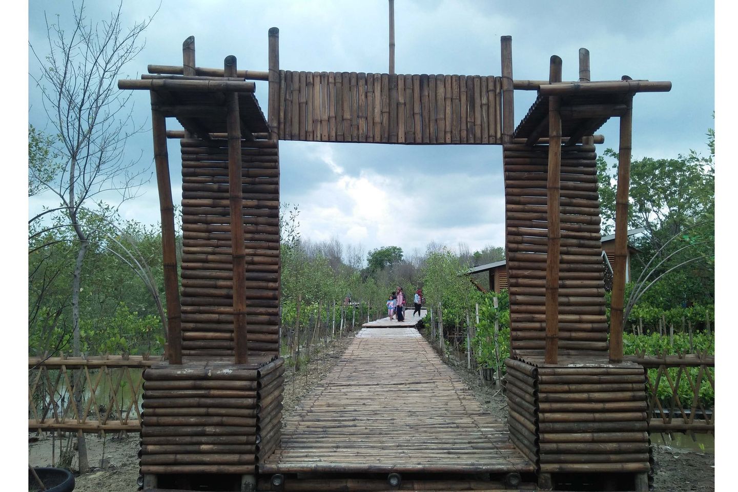 Kebun Raya Mangrove Gunung Anyar Pikat Wisatawan