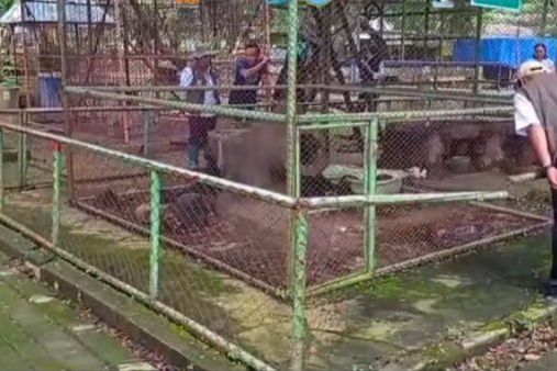 Dinas Peternakan Cek Kesehatan Hewan di Wisata Waduk Gondang Lamongan, Ini Hasilnya