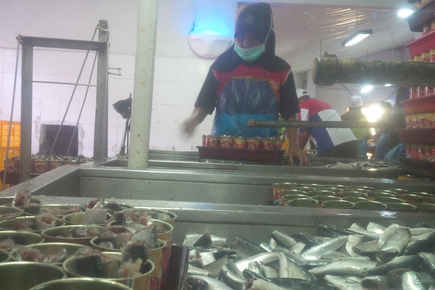 Video Cacing Viral, Penjualan Ikan Kaleng Banyuwangi Lesu