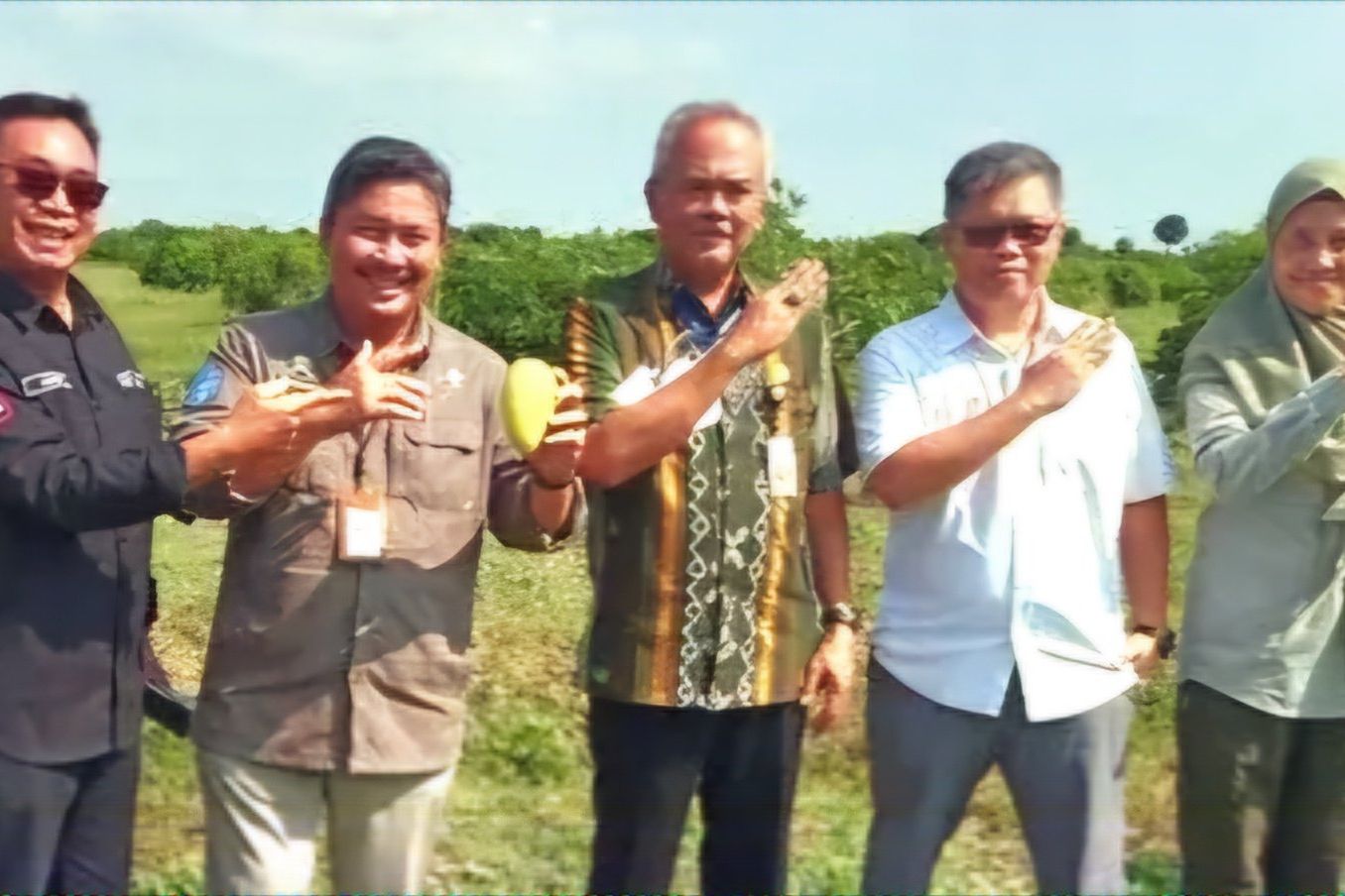 Budidaya Mangga Desa Wotan Gresik Masuk Food Estate, Berpotensi Ekspor Asia dan Timur Tengah