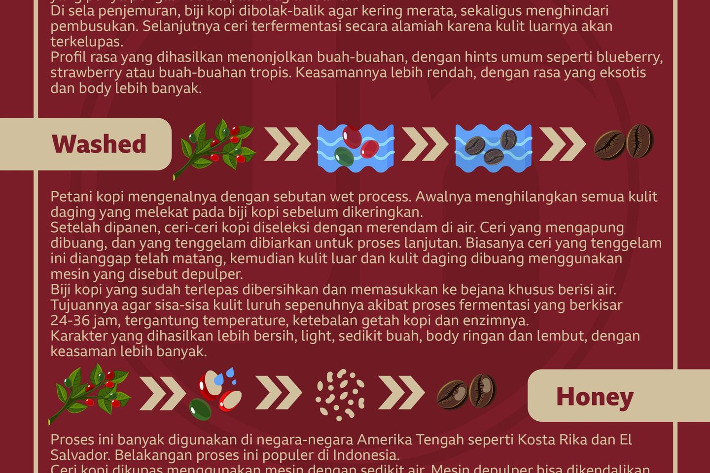 Kenali Proses Olahan Kopi