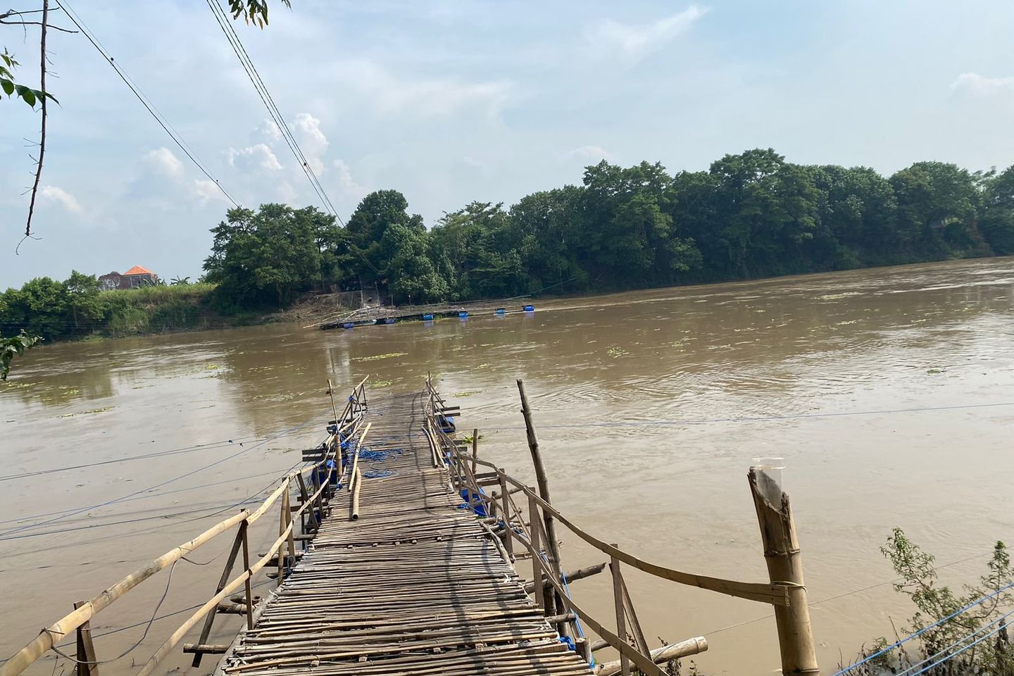 Benahi Jembatan Apung, Warga Mojokerto Hilang Terseret Arus Brantas