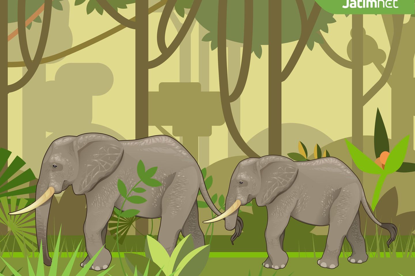 Kawanan Gajah Rusak Tanaman, Warga Nagan Raya Aceh Mengungsi
