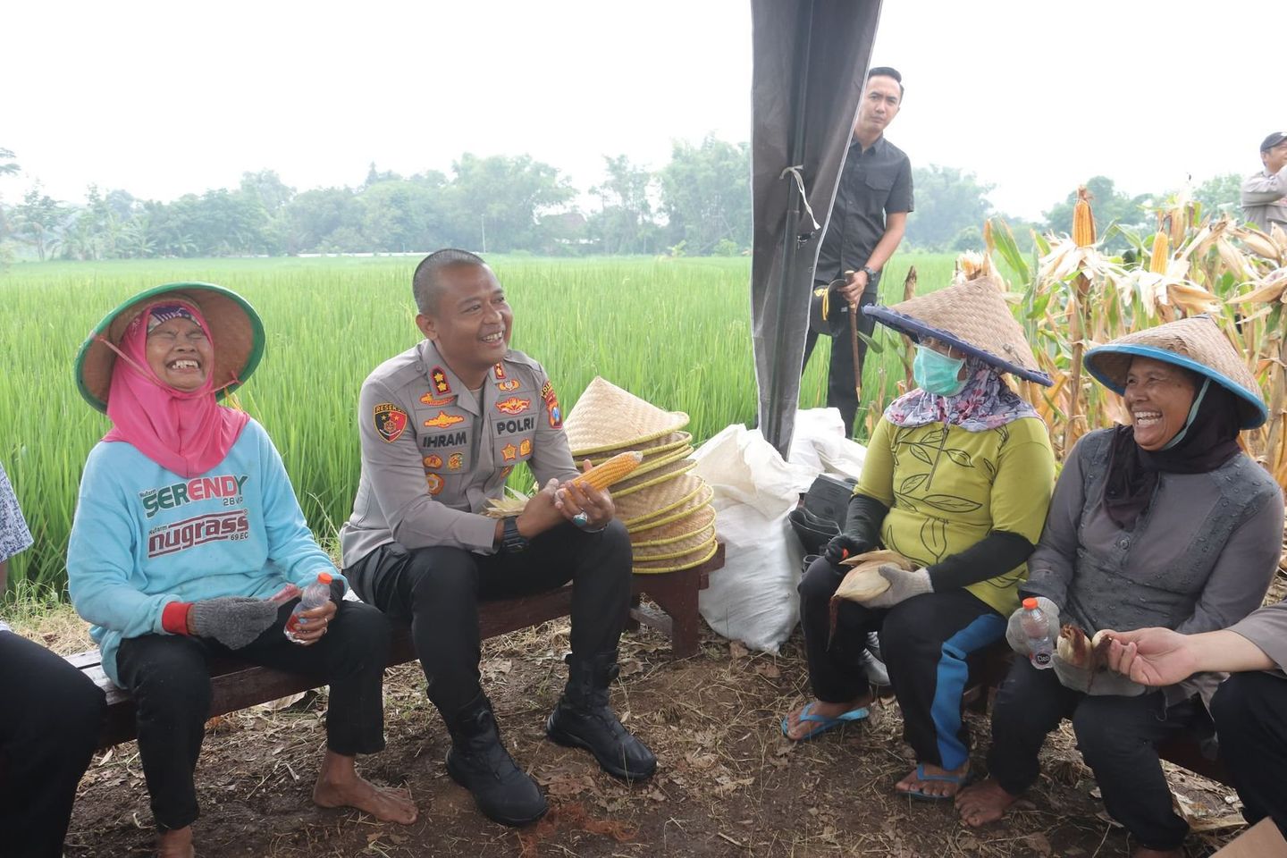 Harga Jagung Pipil Turun Jadi Rp3.500, Petani Minta Sesuai HPP