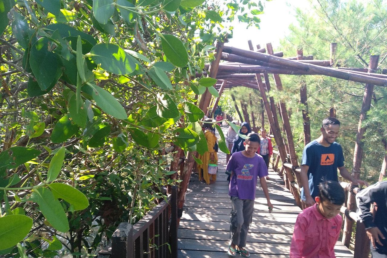 Suasana Tenang dan <em>Instagramable, </em>Hutan Bakau Wonorejo Dipadati Pengunjung