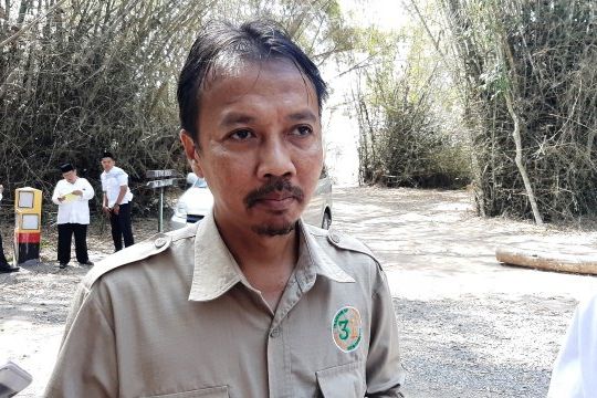 Jalan Baru di TN Alas Purwo Tak Akan Ganggu Satwa
