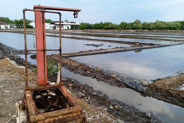 Produksi Turun, Petani Garam Probolinggo Gagal Panen