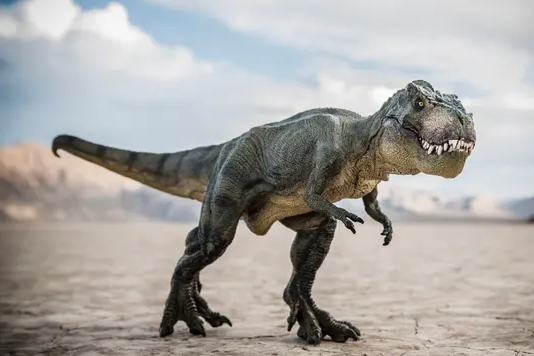 Fosil Bayi T rex Dijual Rp 41 Miliar 