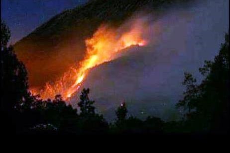 Enam Pegunungan di Jatim Terbakar, Helikopter Hanya Terbangi Arjuno-Welirang