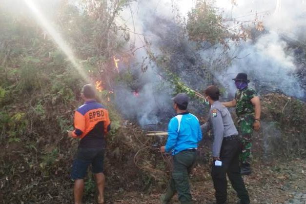 Hutan Lereng Gunung Argopuro dan Bromo Juga Terbakar