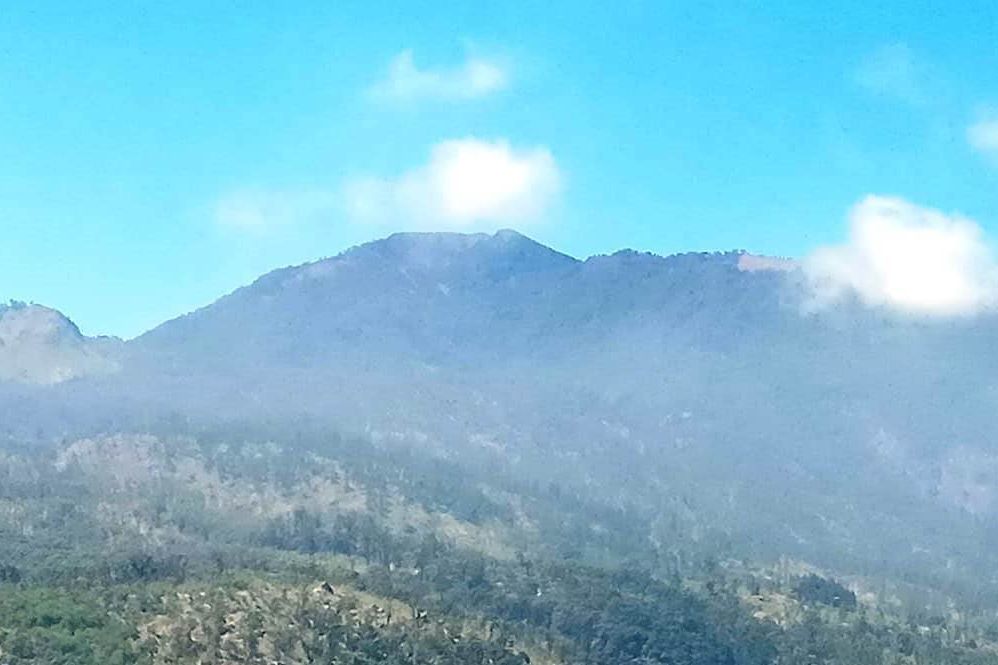 Hutan Gunung Arjuno Kembali Terbakar