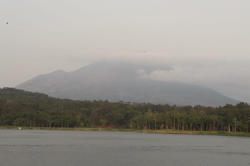 Gempa Lumajang, PVMBG Deteksi 252 Gempa Tektonik Lokal dari Gunung Lemongan