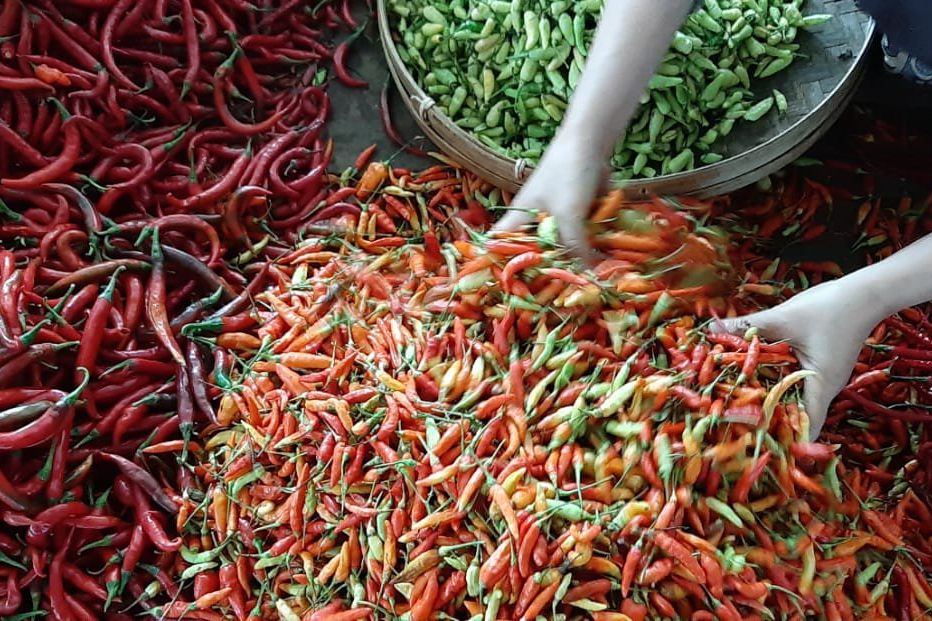 Harga Cabai Rawit Merah di Jember Masih Rp 70.000/Kilogram
 