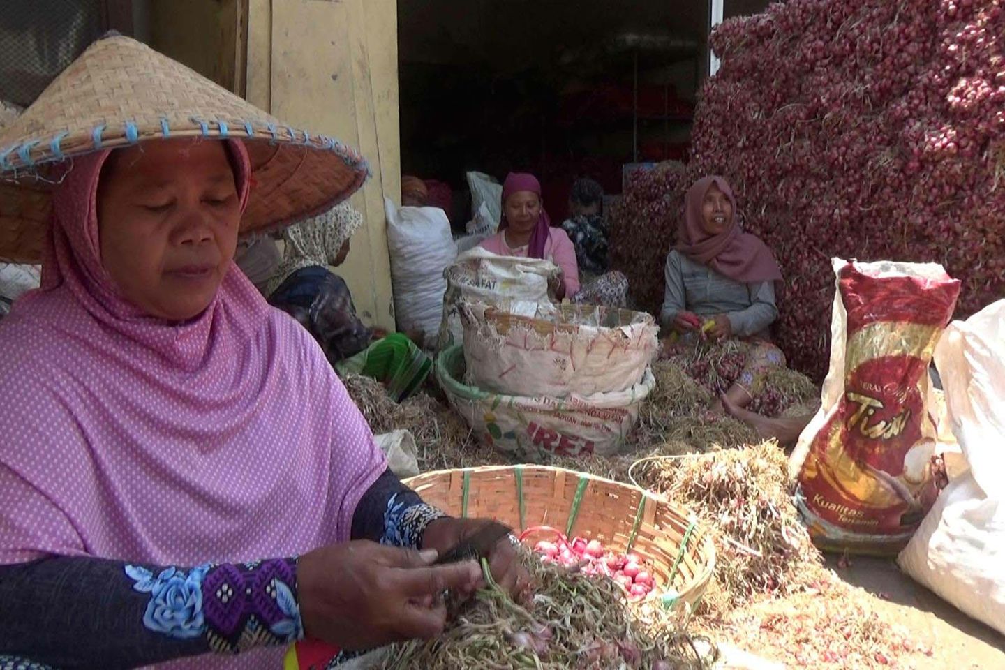 Harga Bawang Merah Turun, Disperindag Salahkan Petani