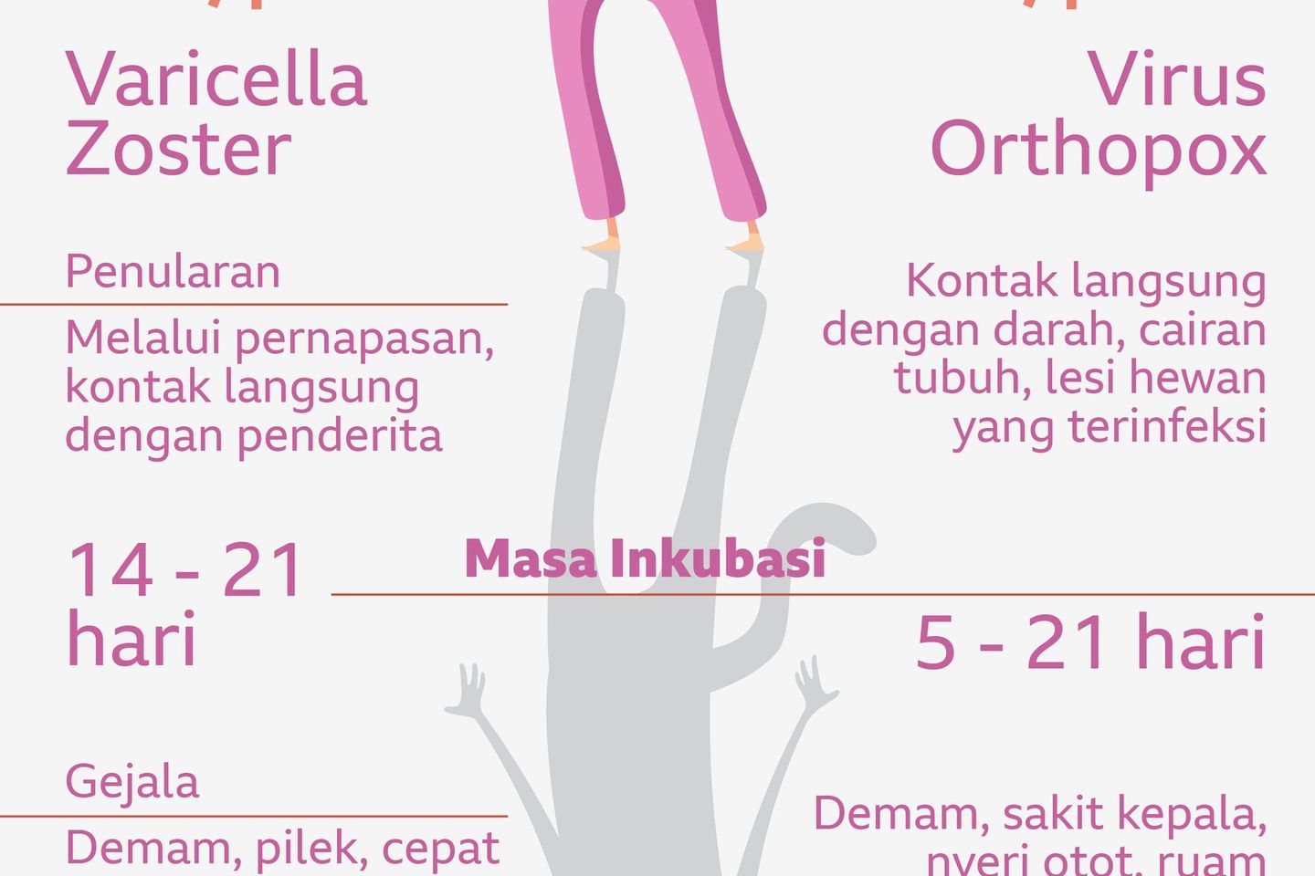 Ini Beda Cacar Air dan Monyet
