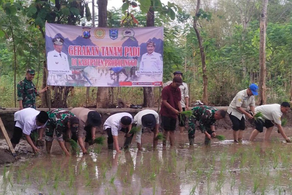 Gertam PAT, Penambahan Areal Tanam Padi di Kabupaten Probolinggo Melebihi Target