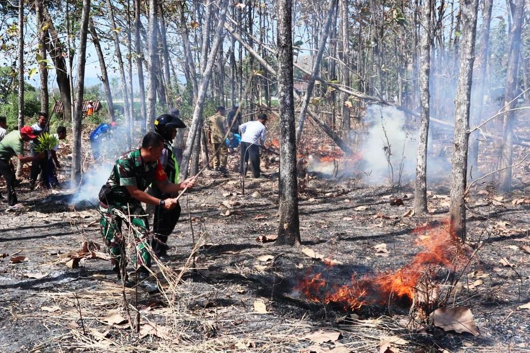 Empat Bulan, Hutan Seluas 60,5 Hektare di Ponorogo Terbakar