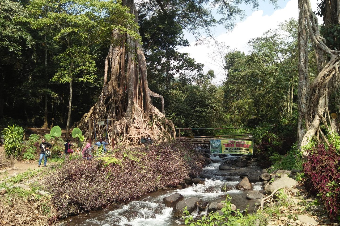 Pohon Berakar Seribu Harapan Desa Begagan Mojokerto