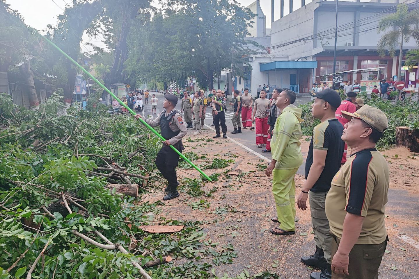 Warga dan Aparat Pemerintah Evakuasi Pohon Tumbang di Kota Mojokerto