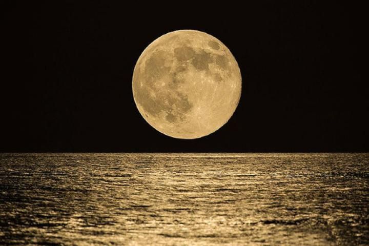 Supermoon 19 Februari, Waspadai Banjir Rob di Pesisir Surabaya
