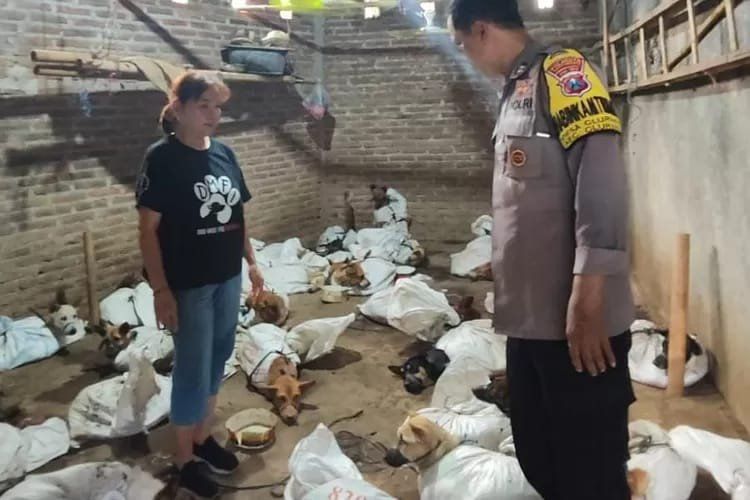 Polresta Banyuwangi Selidiki Penjualan Puluhan Anjing Konsumsi Dikirim ke Jateng