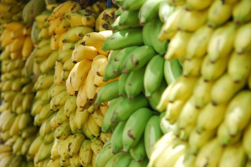Malaysia Minta Pasokan Pisang 300 Ton Sepekan