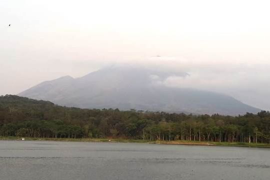 Gunung Lemongan di Lumajang Terbakar
