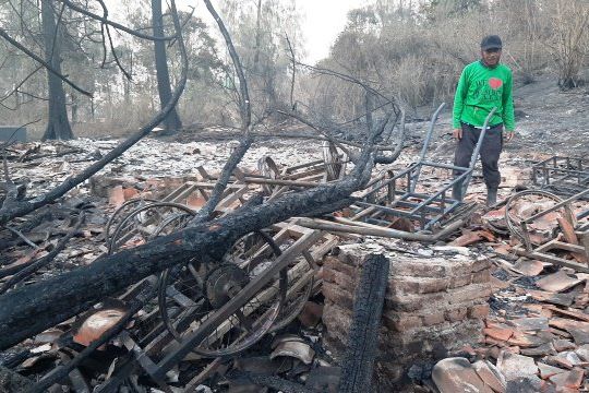 Kebakaran Pegunungan Ijen Terbesar dalam Lima Tahun Terakhir