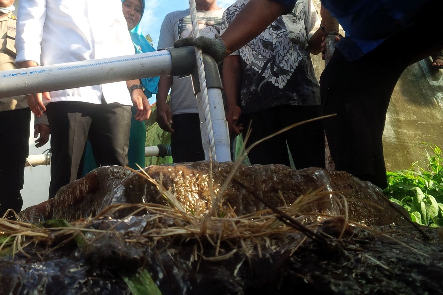 Kemarau Berlangsung Hingga November di Jawa, Bali, dan NTT