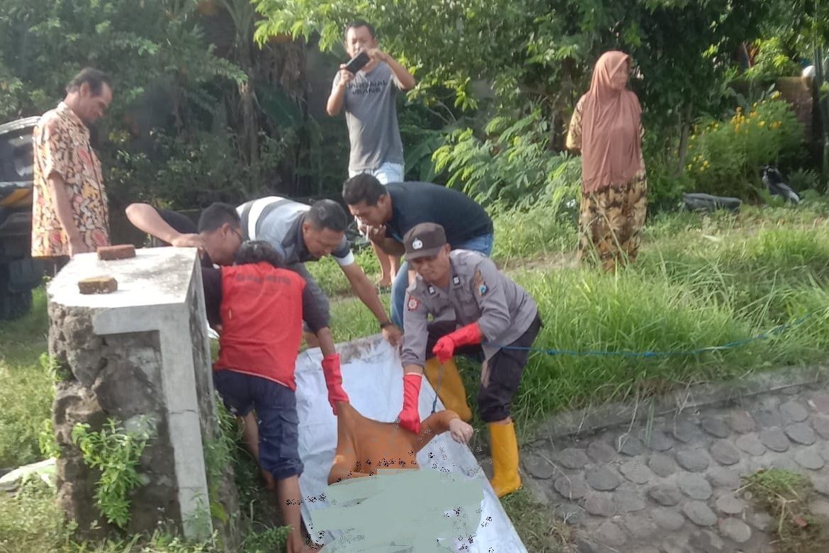 Polisi Selidiki Mayat Perempuan di Sungai Turi-Tunggorono Jombang, Ini Ciri-Cirinya