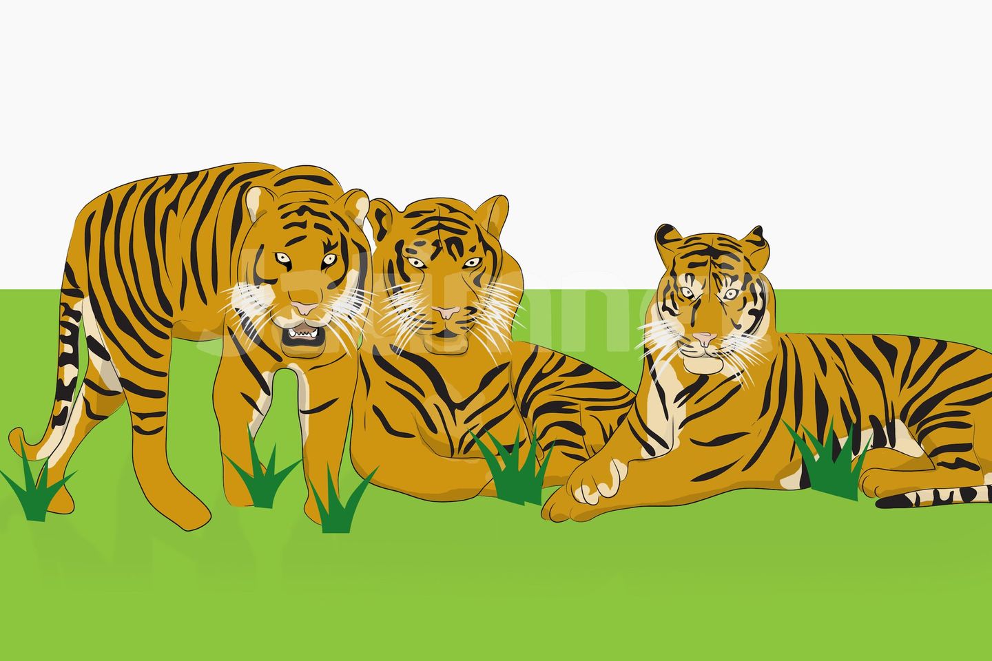 Populasi Harimau Sumatera Tinggal Ratusan Ekor