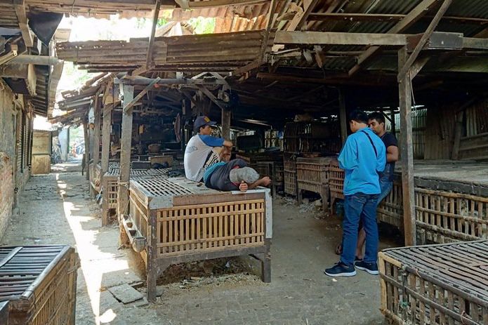 Berbau, PD Pasar Atur Pembuangan Limbah Pedagang Unggas Keputran