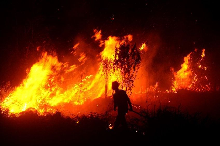 Satu Relawan Meninggal dalam Kebakaran Hutan di Ponorogo