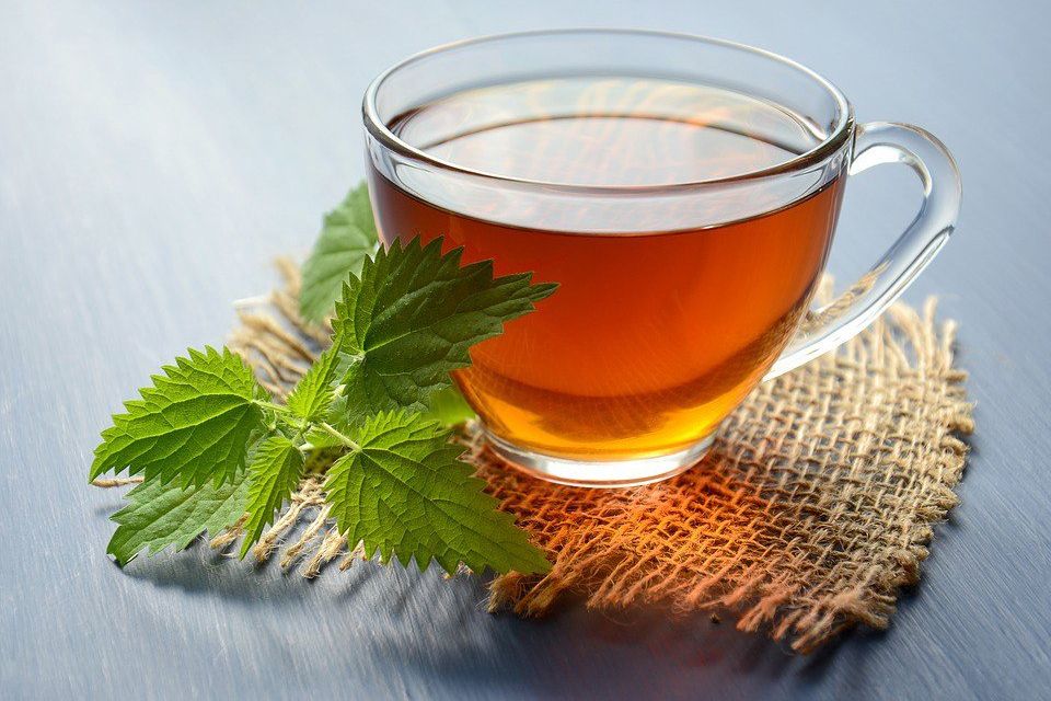 Minuman Teh Meningkatkan Kinerja Seluruh Organ Tubuh