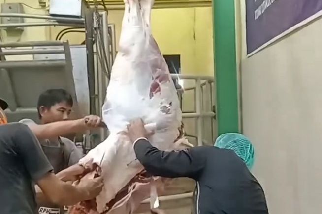 Menjelang Nataru, Stok Daging Sapi di Lamongan Aman dan Harga Telur Naik