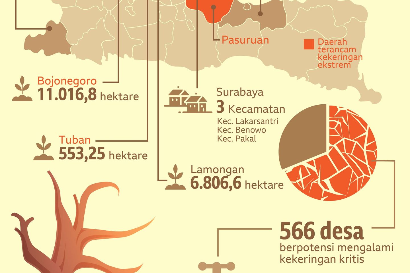 Dampak Kemarau di Jatim