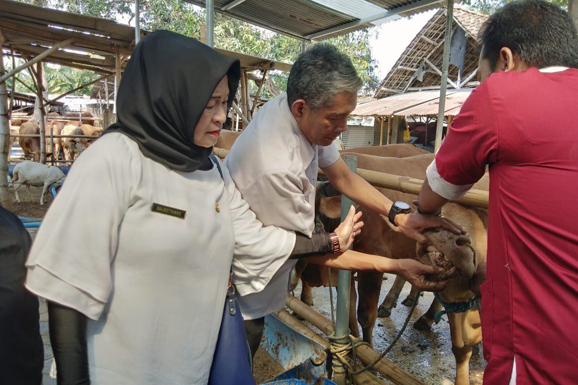 <em>Pink Eye</em> Dominasi Penyakit Ringan Hewan Kurban di Kabupaten Mojokerto