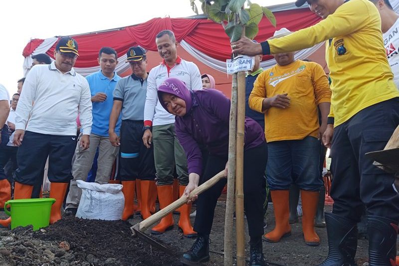 Risma Sebut Kebun Raya Mangrove Gunung Anyar Pertama di Dunia