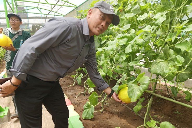 Pemkot Bakal Tanam Buah Langka di Mini Agrowisata Surabaya