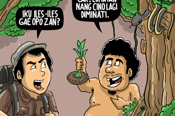 Umbi Lokal di Pasar Internasional