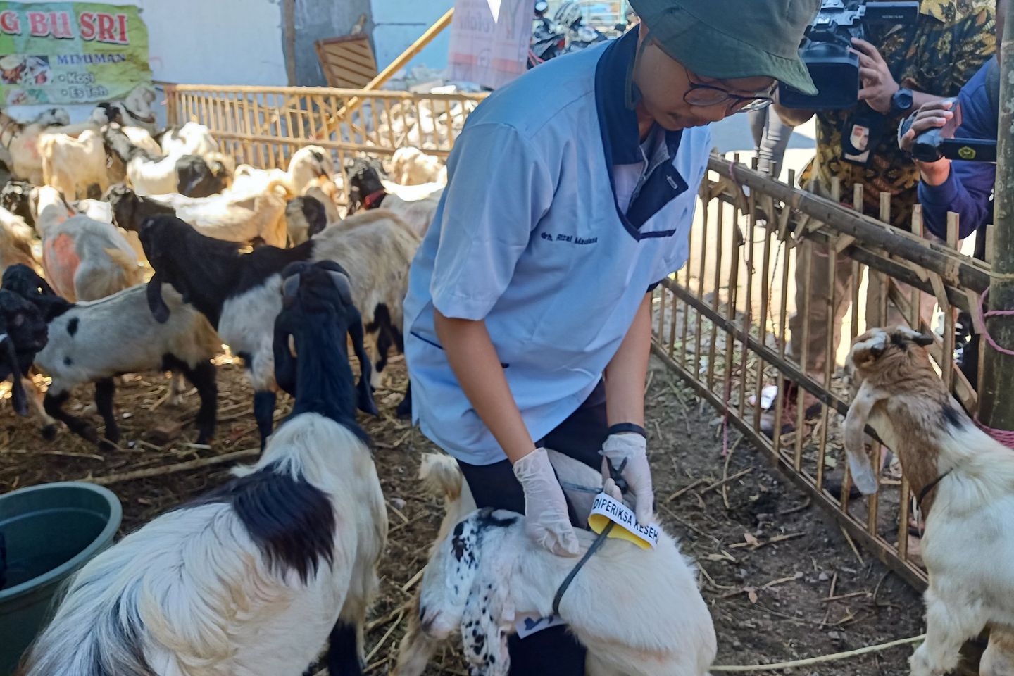 Lima Mitos Daging Kambing yang Bikin Orang <em>Ogah</em> Memakannya