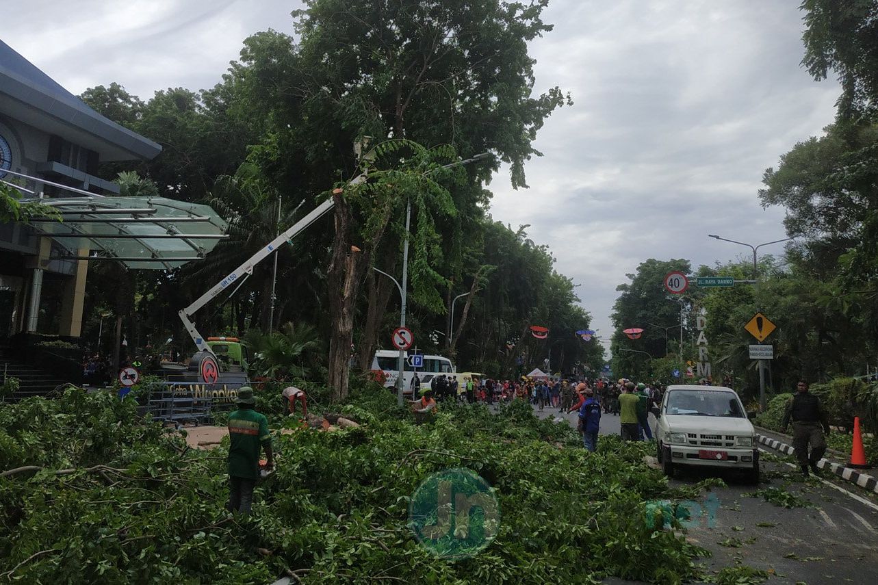 DKRTH Rapikan Ranting Pohon, Car Free Day Tetap Jalan