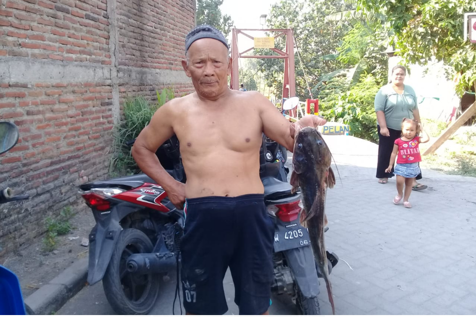 Lagi, Ikan di Kali Surabaya Mati Massal