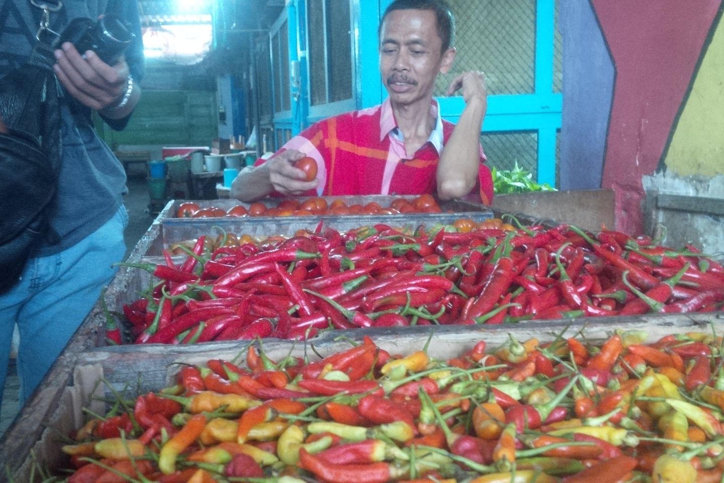Harga Cabai Besar di Banyuwangi Tembus Rp 50 Ribu